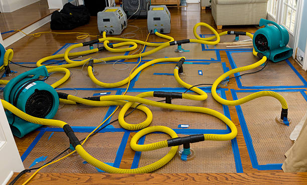 Professional Emergency Water Removal technician working in Schoolcraft, MI