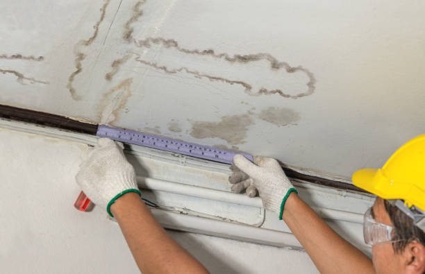 Affordable Water Damage Repair solutions in Schoolcraft, MI